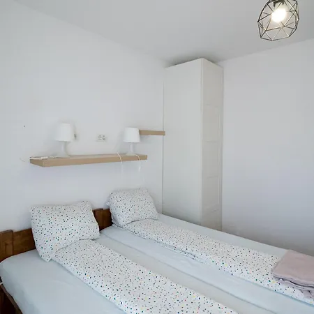 Mdc * Тімішоара