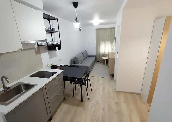 Mdc * ティミショアラ